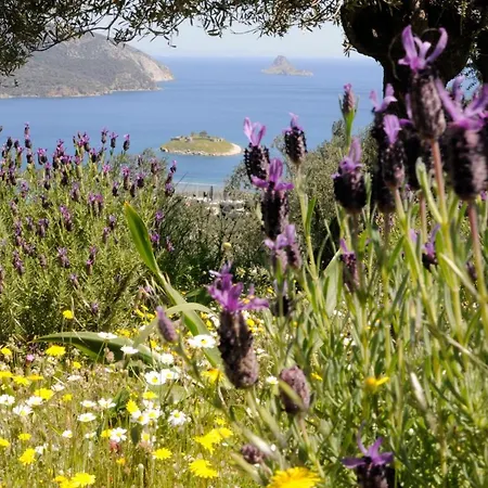 With Pool And View - Galatas, Poros B&B *